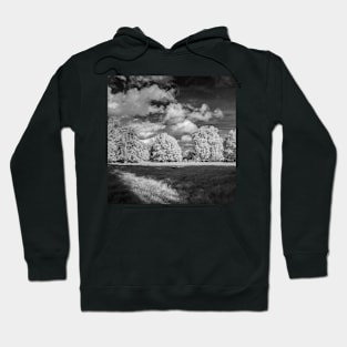 Church Meadow Hoodie